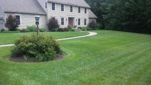 Bio Green of Upstate NY