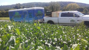Bio Green of Upstate NY